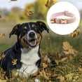 thumbnail image 3 of Bow dog collar, 7 classic solid colors, soft cotton adjustable pet collar for small to medium sized dogs, 3 of 5