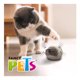 thumbnail image 4 of Juguete para Gato Fancy Pets Catch Gris con Blanco con Forma de Cuyo, 4 of 4