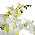 thumbnail image 6 of Nearly Natural Phalaenopsis Orchid Artificial Floral Arrangement with Ceramic Planter - 23" - White, 6 of 7