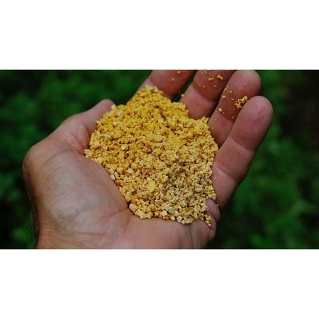 

HYYYYH All-Natural Corn Gluten Meal (10lbs)