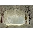 thumbnail image 1 of XDDJA Polyester Fabric 7x5ft White Snow Covered Forest Road Photography Backdrop Winter Photo Background, 1 of 2