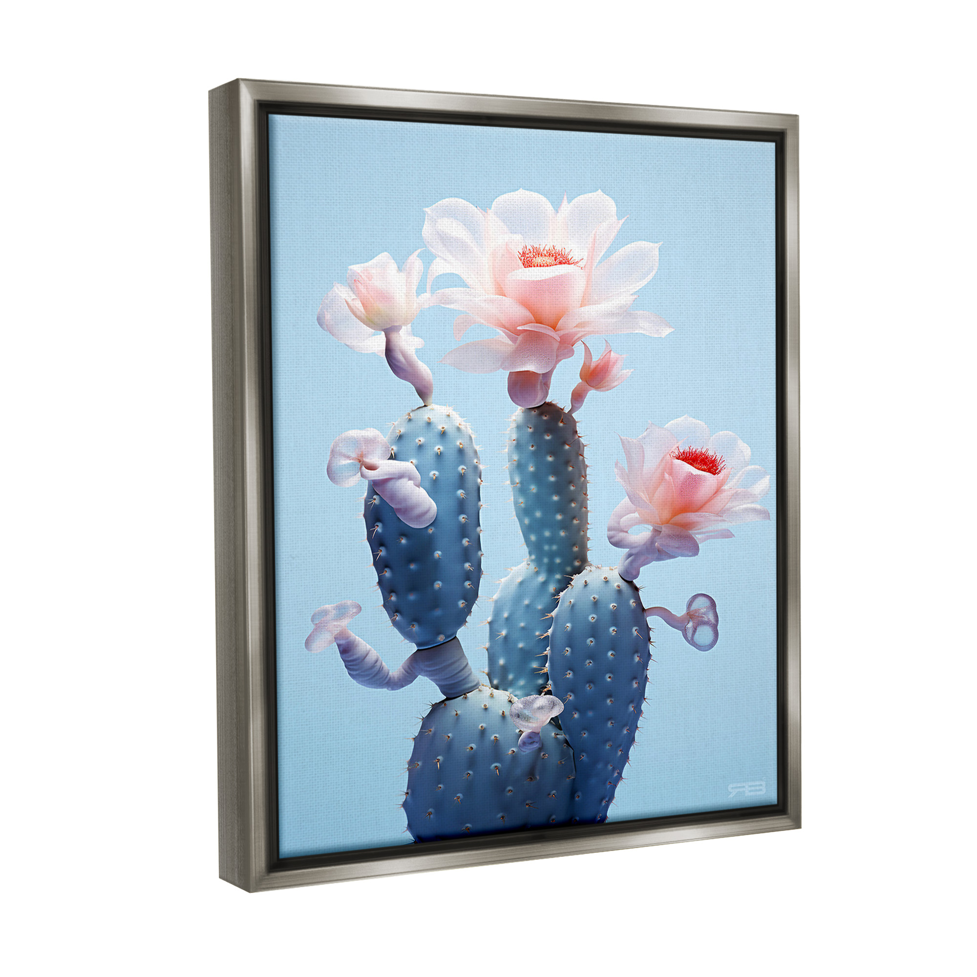 Stupell Industries Southwestern Pink Blooms Botanical & Floral Painting Gray Floater Framed Canvas Art Print Wall Art, 17 x 21