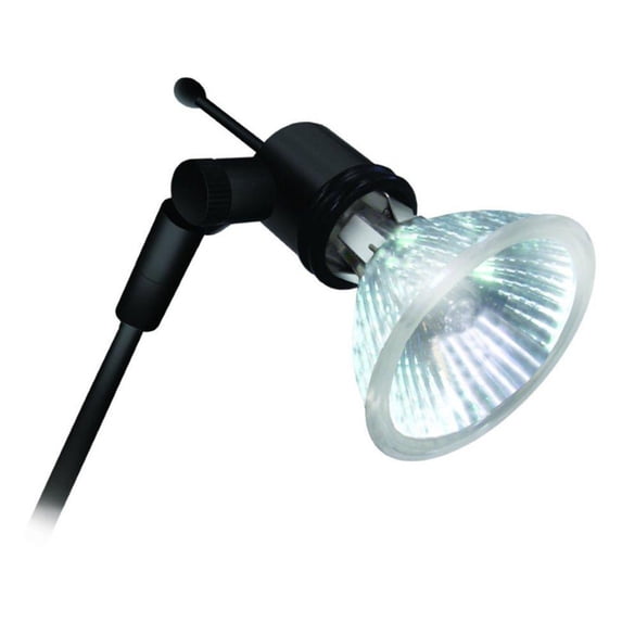 Testrite Halogen Light