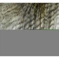 thumbnail image 2 of Plutus Alaskan Hawk Handmade Throw Pillow, (Double sided 20" x 20"), 2 of 2