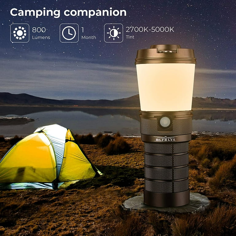 蓄光　LOV×PF LANTERN SLEEVE BAD FELLOWS 38灯 蓄光 LOV×PF LANTERN SLEEVE BAD FELLOWS 38灯