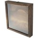 thumbnail image 4 of Vintage Style Transparent Insect Specimen Display Box for Plant, Dried Flower Collections & Collectibles – Dustproof Storage Case for Organizing, 4 of 5