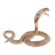 thumbnail image 5 of 2 Piezas de Plástico de Silvestre Modelo de Serpiente de Acción Juguetes Decoración de Enseñanza Hugo Figuras de acción de vida silvestre, 5 of 10