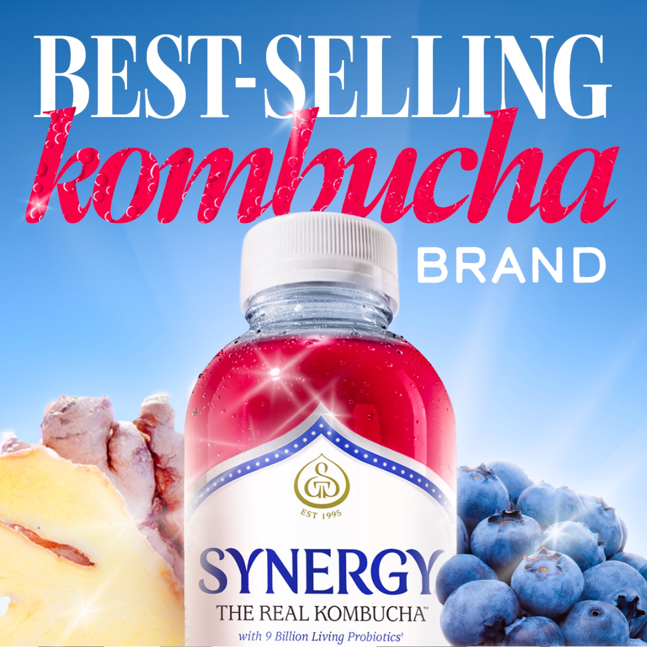(2 pack) Synergy Gingerberry Kombucha 16 fl oz