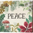 thumbnail image 1 of Great Art Now Christmas Chalk II Light by Mary Urban, Canvas Wall Art, 12W x 12H, 1 of 2