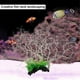 thumbnail image 3 of Decoración de plantas artificiales para acuario, decoración de pecera de arrecife de coral de plástico, 3 of 5