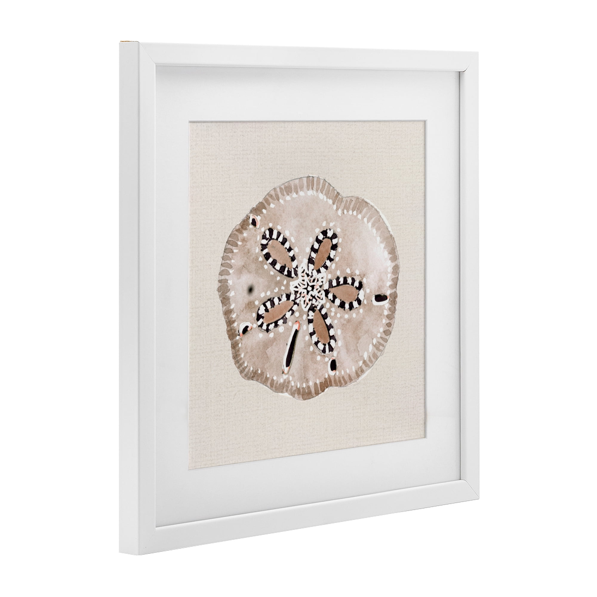 Stupell Industries Taupe & Beige Sand Dollar White Framed Print Under Glass, design by Lanie Loreth