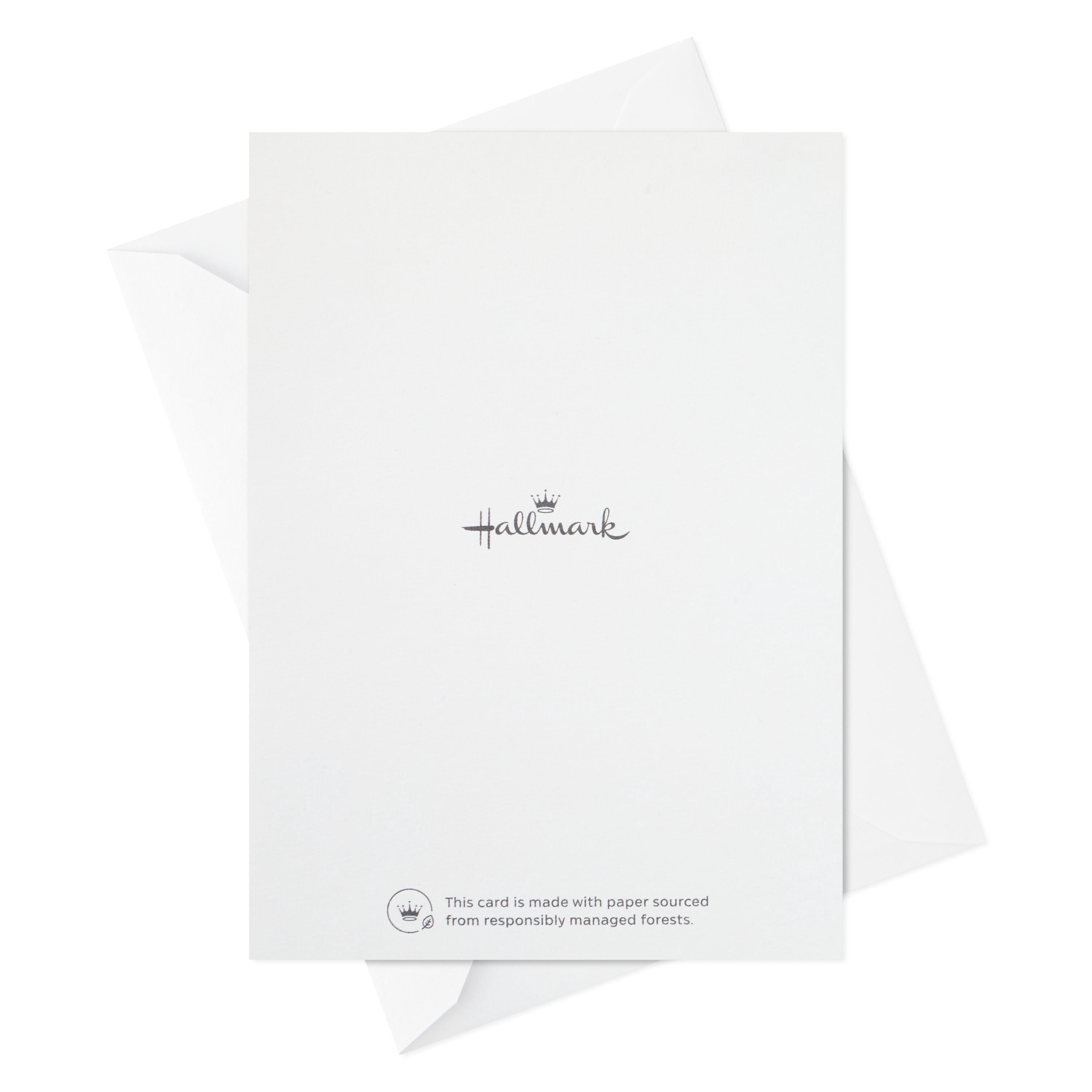 Hallmark Party Invitations, Floral on Aqua, 10 ct.