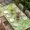 Green, variant on Beige Brown Green Table Cloths for 6 Foot Rectangle Tables, Retro Botanical Abstract Art Patio Waterproof Elastic Fitted Tablecloths, Washable Rectangular Table Cover for Camping