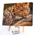 thumbnail image 1 of Kits de pintura al óleo de leopardo por números, cuadro de lienzo, arte de pared, manualidades para colorear DIY Likrtyny decoración de arte, 1 of 9