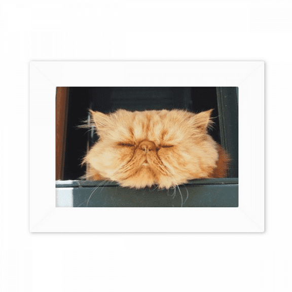 Animal Funny Yellow Cat Shoot Photo Mount Frame Picture Art Painting Desktop 5x7 inch