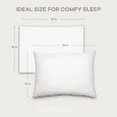 thumbnail image 7 of Comfy Cubs Toddler Pillow with Cotton Pillowcase, 13" x 18" - Microfiber Fill, White, 7 of 7