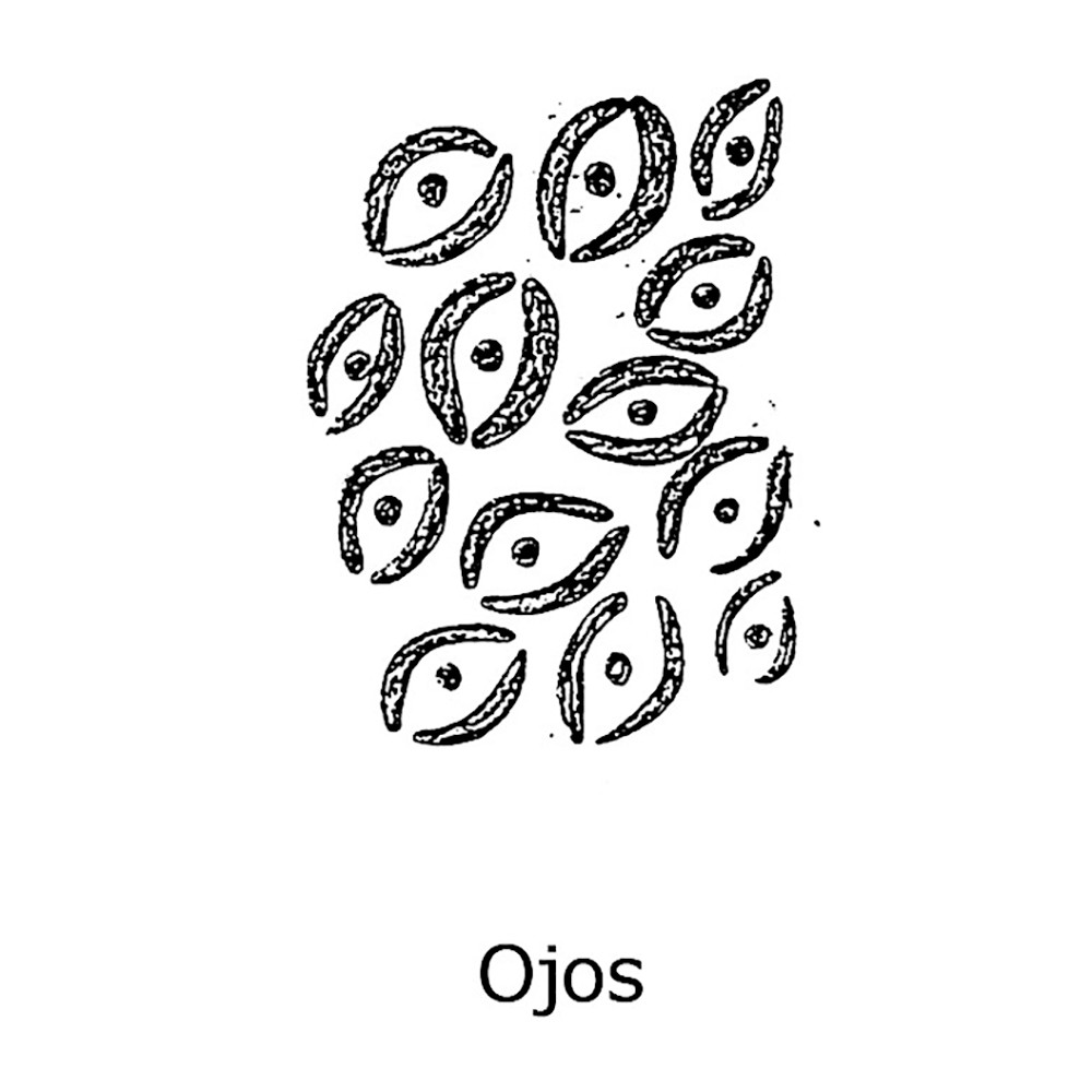 ToolPro Ojos Foam Texture Roller Cover