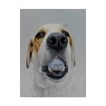 thumbnail image 1 of Trademark Fine Art 'Titleist 2' Canvas Art by James Ruby, 1 of 3
