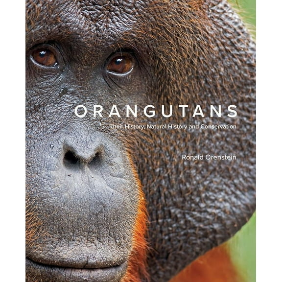 Orangutans: Their History, Natural History and Conservation, (Hardcover)