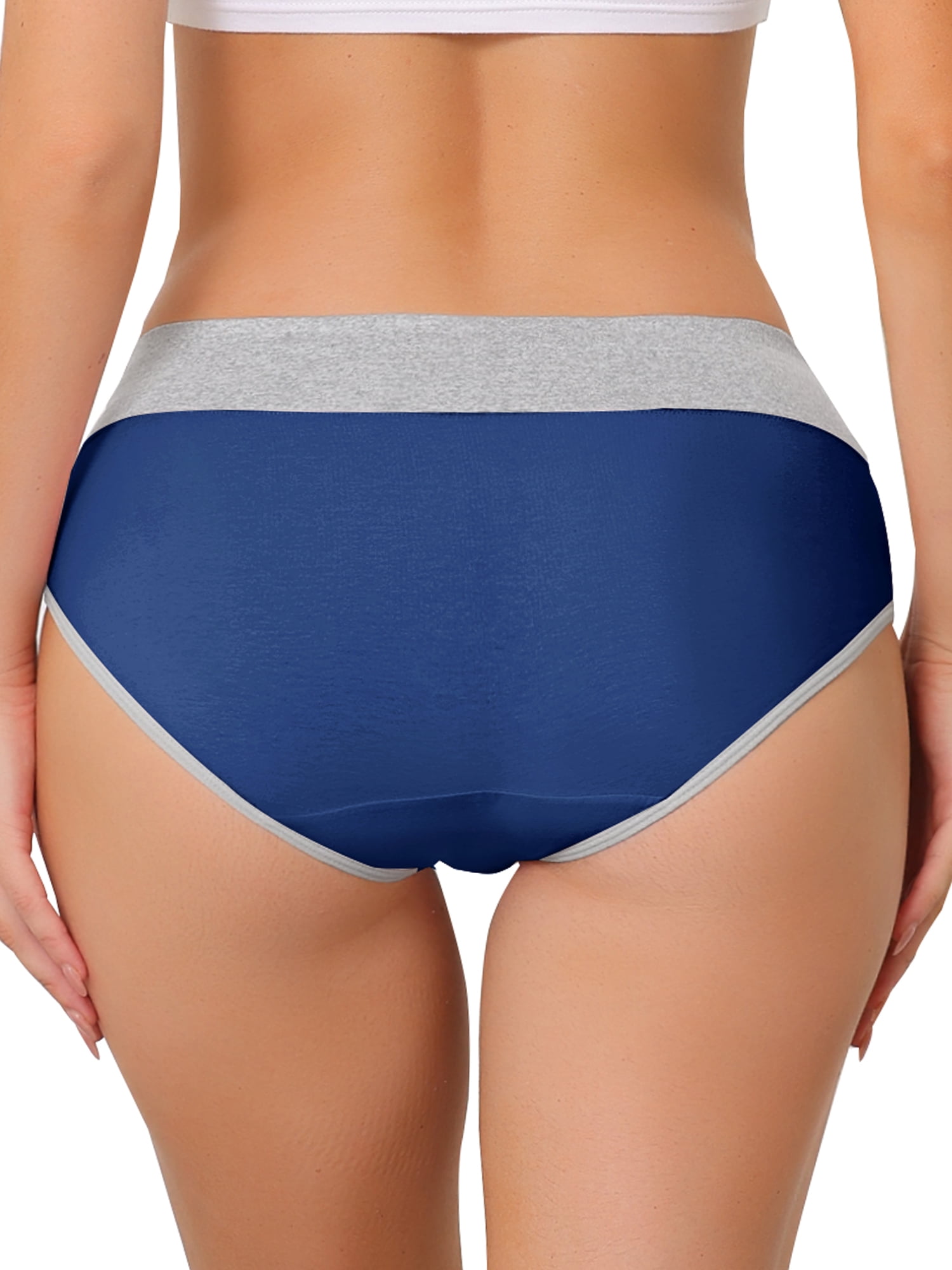 Unique Bargains Women's Plus Size 5 Packs High Rise Brief Stretchy Underwear