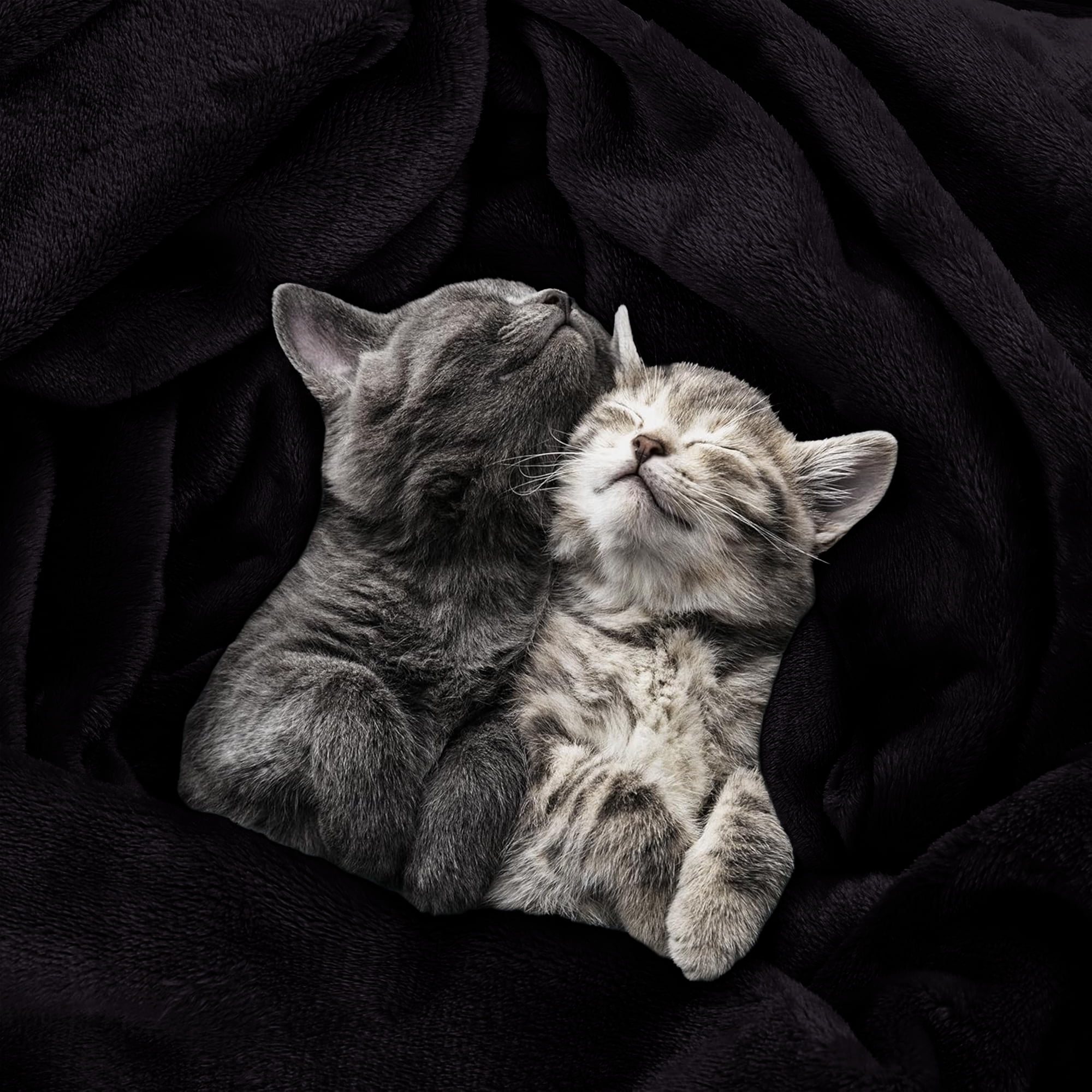 Moonlight20015 Wholesale Fleece Twin Blankets 12-Packs All-Season Soft Plush Throw for Charity, Shelter, & Home Washable, Lightweight & Cozy Black (60"x80")