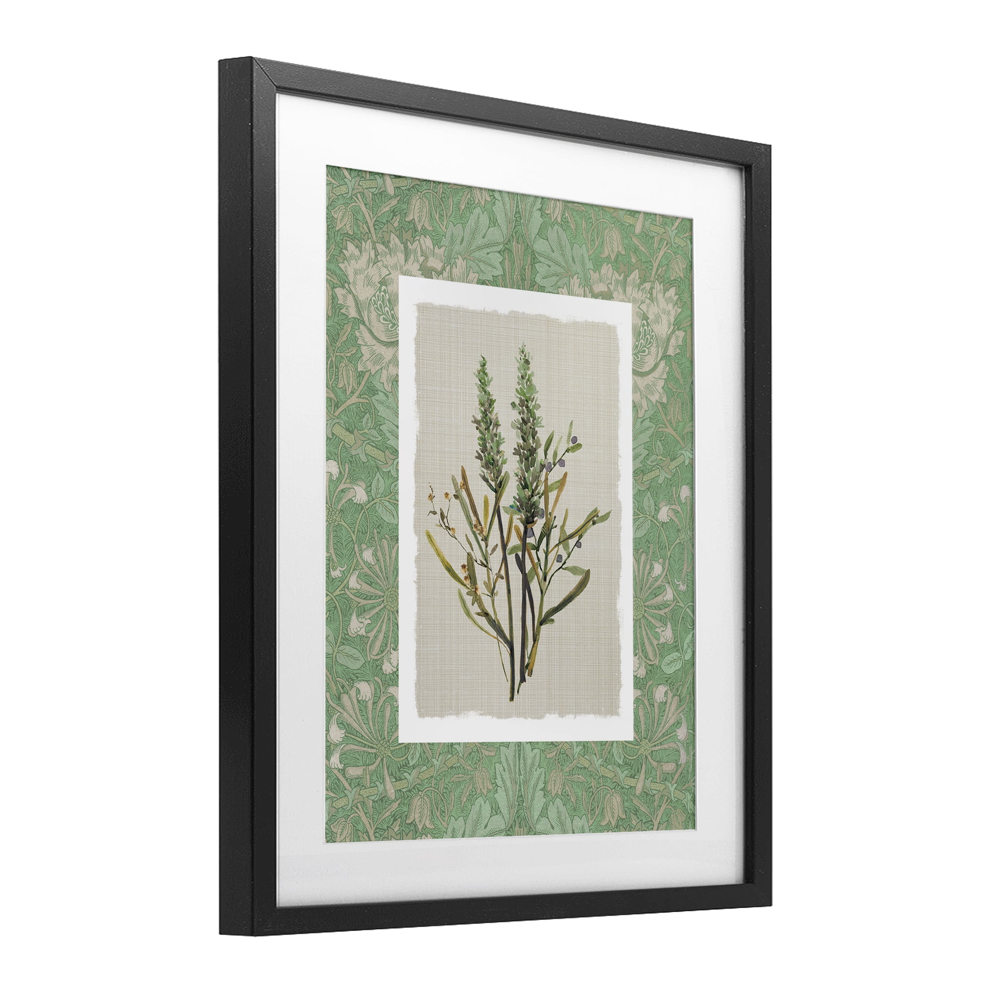 Stupell Industries Antique Foliage in Green Black Framed Print Under Glass, design by Carol Robinson