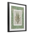 thumbnail image 2 of Stupell Industries Traditional Antique Foliage in Green Black Framed Print Under Glass, 13 x 16, by Carol Robinson, 2 of 8