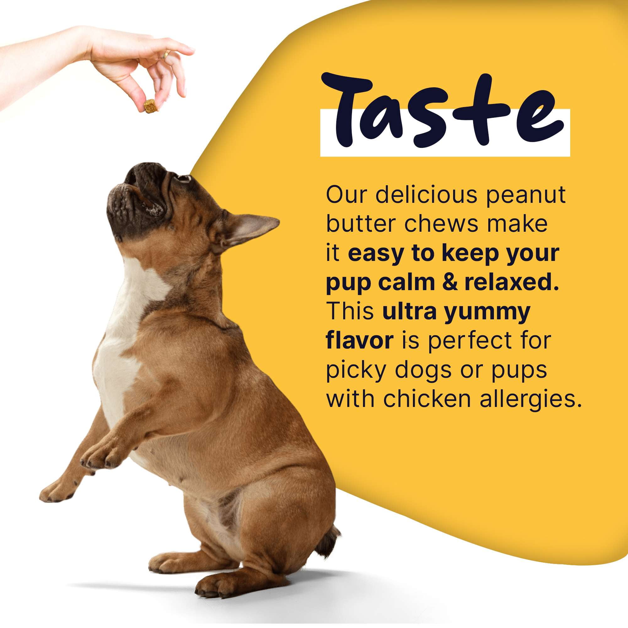 Healthy Pup Peanut Butter Calming Chews For Dogs with Melatonin - 60 Soft Treats - Dog Anxiety Relief