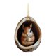 thumbnail image 1 of Decoraciones de Árboles de Navidad Animales Decoraciones de Navidad Árboles de Navidad Impresión de Animales Decoraciones de Acrílico Bosque Decoraciones de Animales Decoraciones de Navidad Regalos De, 1 of 8