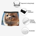 thumbnail image 4 of KLL Cute Guinea Pig Sea Men's Cotton Boxer Briefs Underwear-X-Large, 4 of 8