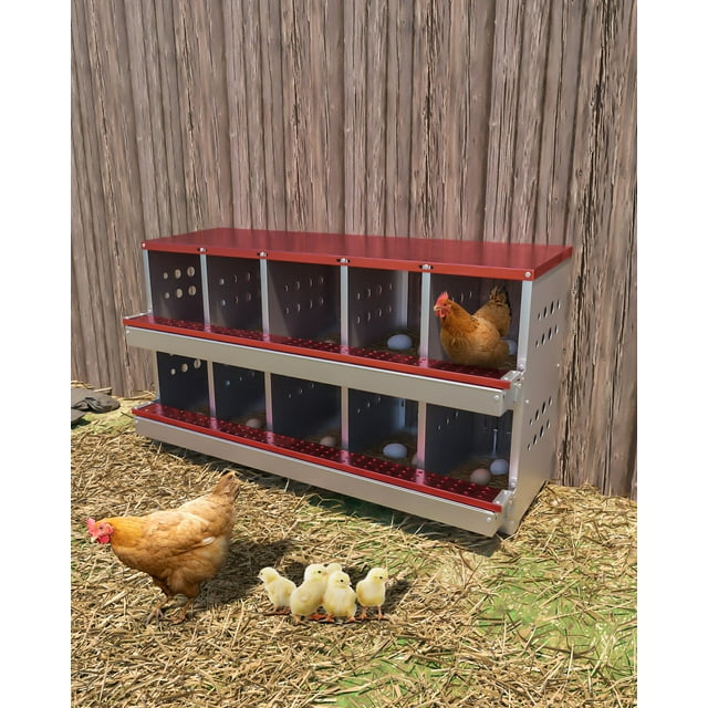 Yeshouse Nido para gallinas ponedoras - Nido enrollable de 10 compartimentos con percha y recolector automático de huevos