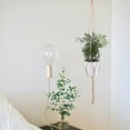 thumbnail image 4 of Neinkie 2Pcs Macrame Plant Hangers Simple Design Indoor Hanging Planter Decorative Flower Pot Holder Cotton Rope for Indoor Outdoor Home Decor, More Stable, 4 of 7