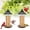 Black, variant on Kingsyard Metal Gazebo Multi-Bird Hopper Feeder, 0.5 lb Capacity, Black