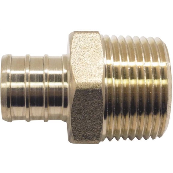Apollo Valves APXMA11 Brass Male Adapter, 1" MPT