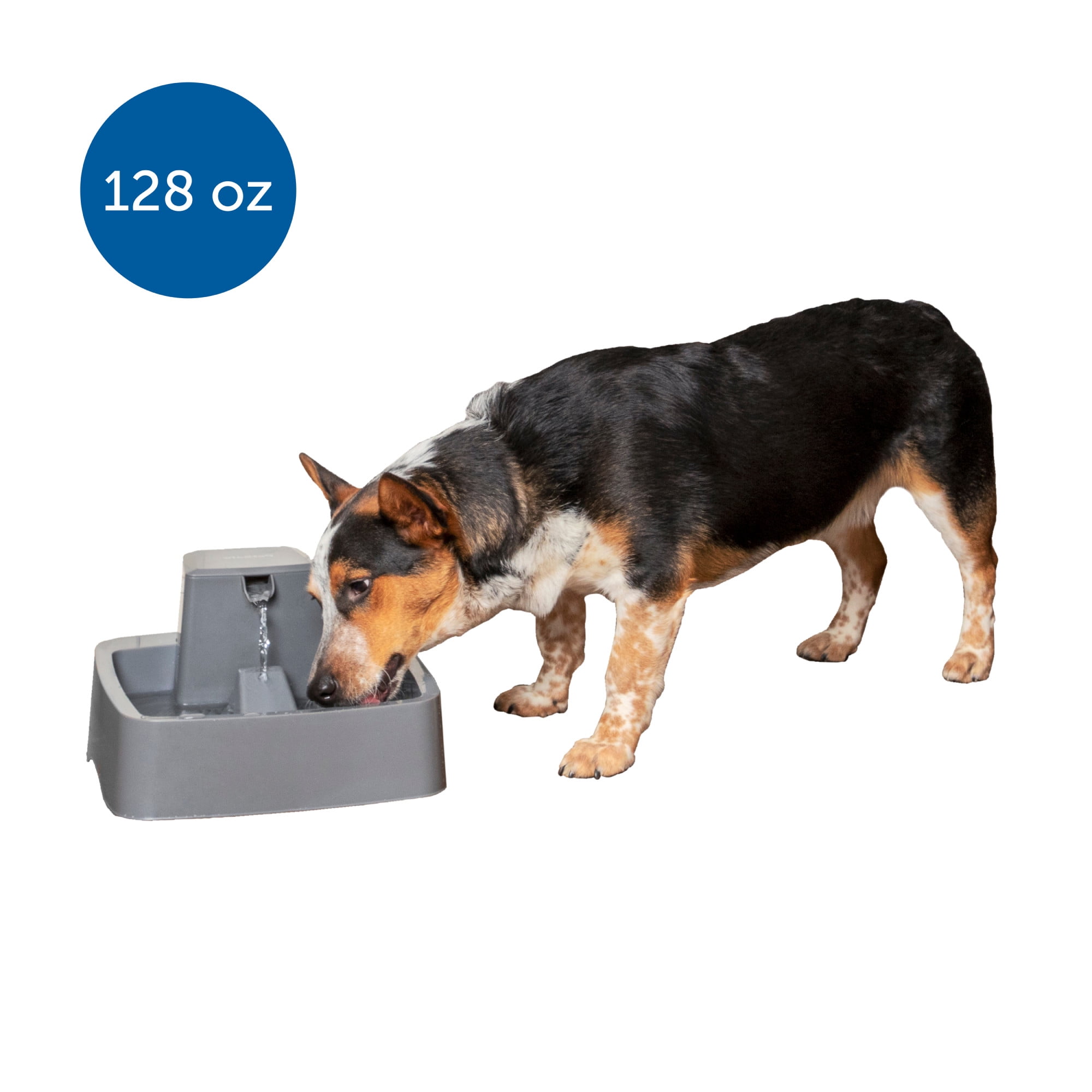 PetSafe Drinkwell 1 Gallon Dog and Cat Water Fountain, Best for Medium