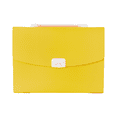 thumbnail image 1 of Dossier Extensible à 13 Pochettes, Organiseur de Fichiers Format Lettre, Dossier de Documents avec Poignée, 1 of 5