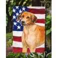 thumbnail image 3 of Carolines Treasures BB9676GF Rhodesian Ridgeback Patriotic Garden Flag, 3 of 3
