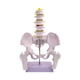 thumbnail image 5 of Modelo de pelvis femenina, equipo educativo práctico profesional, esqueleto femenino. Estilo B, 5 of 9