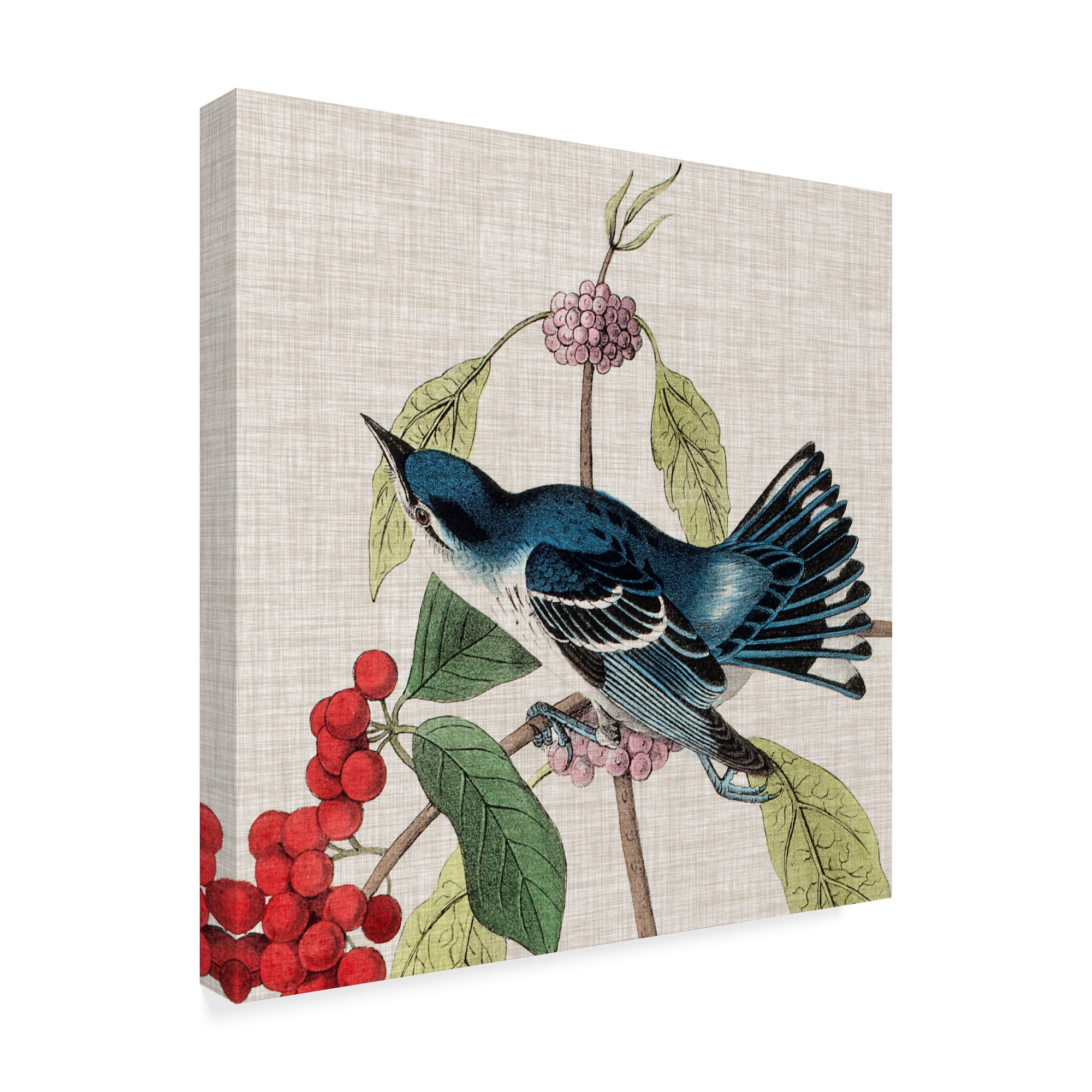 Trademark Fine Art 'Avian Crop III' Canvas Art by John James Audubon