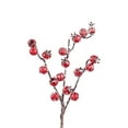 thumbnail image 1 of 10 Pcs Pics de Baies Rouges, Tiges de Baies Rouges Givrées, Tiges de Baies Artificielles de Noël pour Bricolage Décoration de Guirlande de Vacances, Branches de Baies Rouges Artificielles pour Remplissage de Vase d'Arbre de Noël, 1 of 3