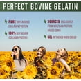 thumbnail image 3 of Perfect Supplements Bovine Beef Gelatin Powder for Skin & Joint Health, 660 g, 3 of 7