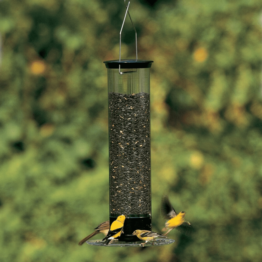 Droll Yankees Yankee Tipper Squirrel-Proof Cardinal Bird Feeder, Black