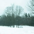 thumbnail image 2 of Schlabach, Sue 15x15 Gold Ornate Wood Framed with Double Matting Museum Art Print Titled - Snowfall, 2 of 4