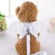 thumbnail image 5 of Correa Pechera Arnes Alas De Angel Para Mascota Perro O Gato, 5 of 8