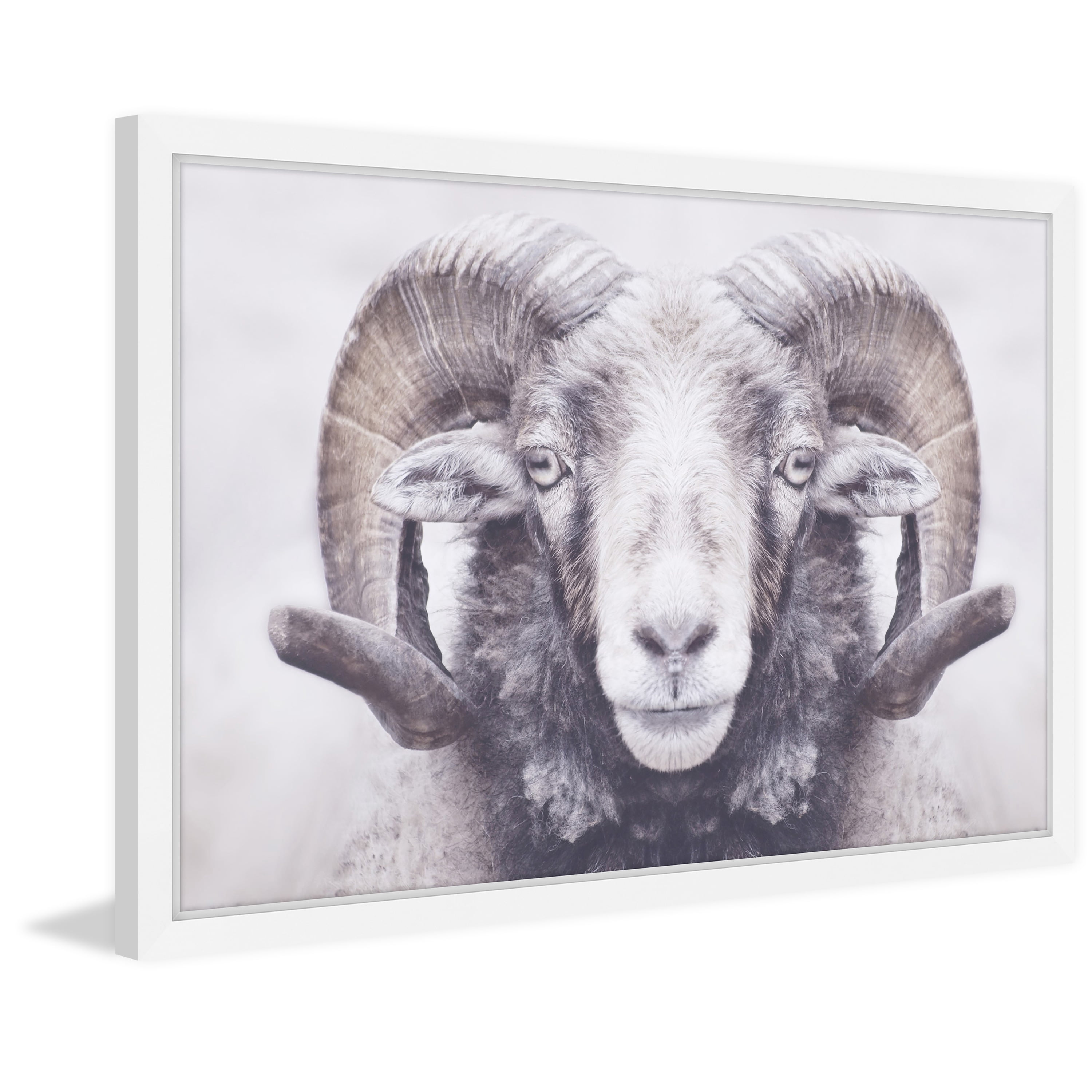 Marmont Hill "Majestic Curled Horns" Framed Painting Print