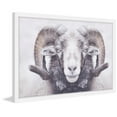 thumbnail image 2 of Marmont Hill "Majestic Curled Horns" Framed Painting Print, 2 of 5