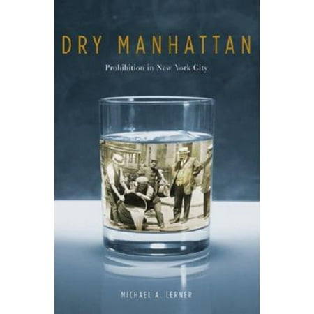 Dry Manhattan : Prohibition in New York City