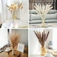 thumbnail image 4 of Grass 60 PCS Dried Flowers Arrangements White & Natural Dried Grass, Reed Grass, Bunny Tails Grass，Horsetail Whisk, 4 of 4