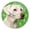 B5, variant on Non-Ticking Silent Wall Clocks Battery Operated Personalized Decor Clock for Living Room,Bedroom-Pug Wearing Sunglasses Against The Backdrop Of Palm Trees(10inch)