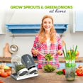 thumbnail image 2 of Kit de germinación de semillas ZESTIGREENS con 2 frascos Mason y soporte, 2 of 7